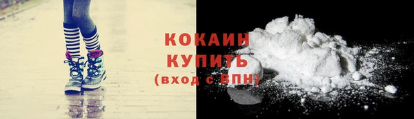 тгк Касимов