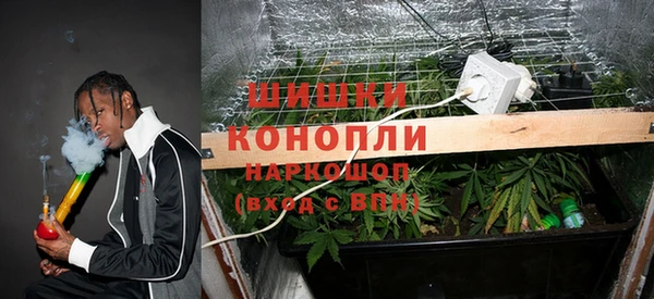 эйфоретик Козельск
