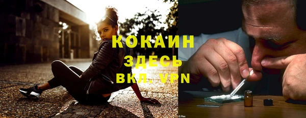 тгк Касимов