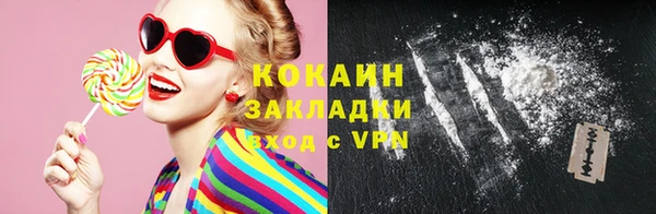 прущие грибы Карпинск