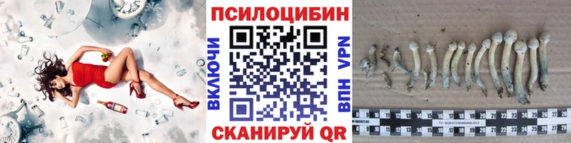 Галлюциногенные грибы Magic Shrooms Киселёвск