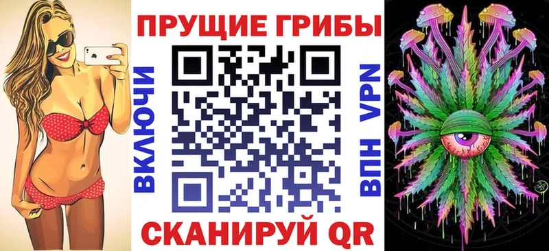 Псилоцибиновые грибы GOLDEN TEACHER  Киселёвск 